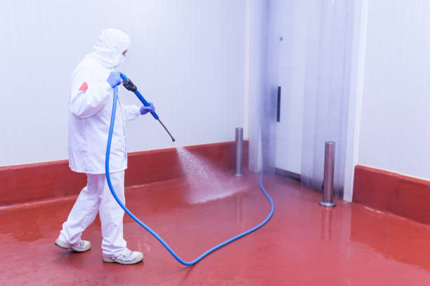 Best Rust Removal  in Canyon, TX